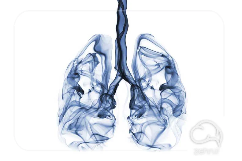تصویر ریه دودآلود تا سریع تر راهکار ترک سیگار را پیدا کنیم.